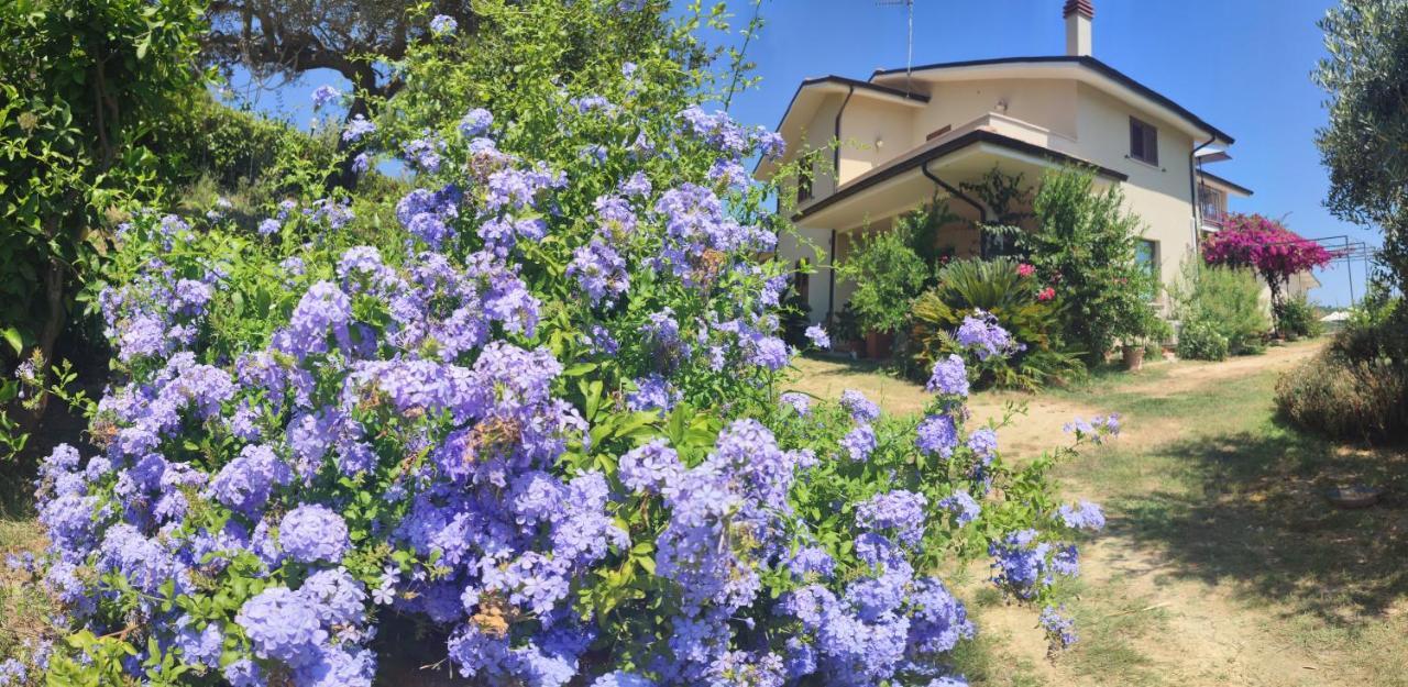 Ferienwohnung La Casa Di Stefania Pollutri Exterior foto