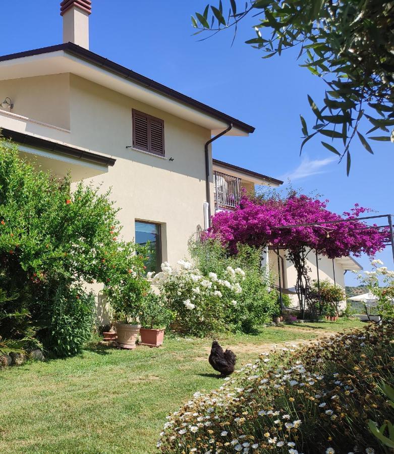 Ferienwohnung La Casa Di Stefania Pollutri Exterior foto