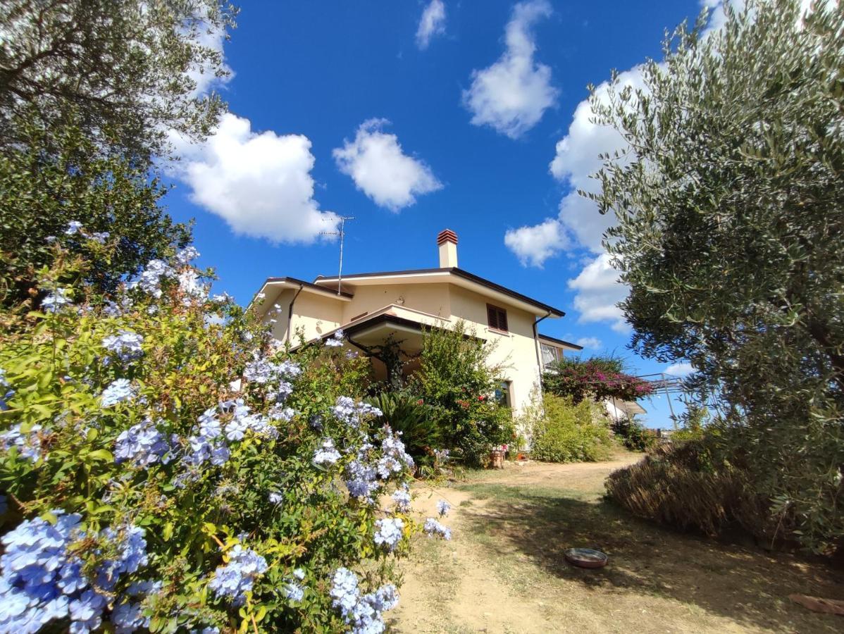 Ferienwohnung La Casa Di Stefania Pollutri Exterior foto