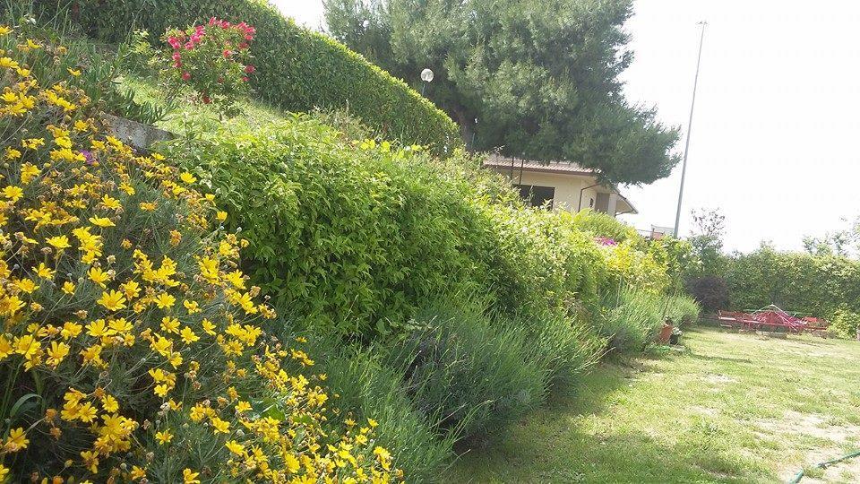 Ferienwohnung La Casa Di Stefania Pollutri Exterior foto
